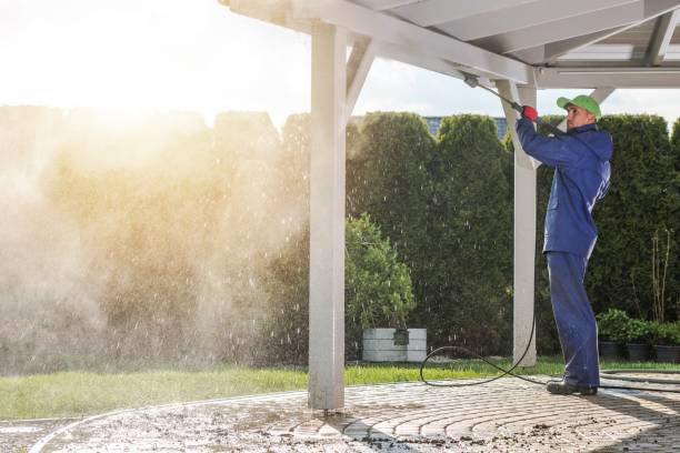 Best Roof Washing  in Marion, IA